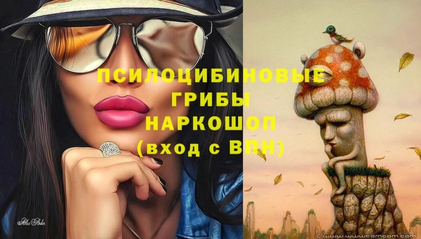 ECSTASY Лихославль