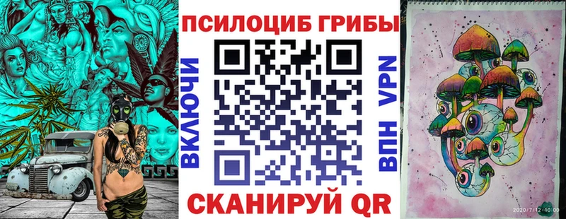 Псилоцибиновые грибы Magic Shrooms OMG Псков