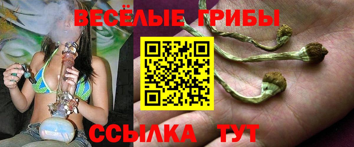 Галлюциногенные грибы Cubensis  Вход с VPN  Псков 