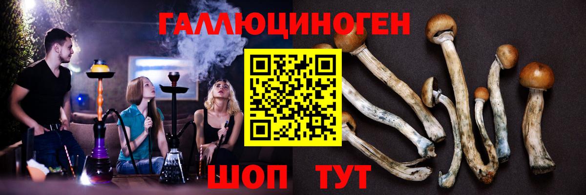 Галлюциногенные грибы мицелий Псков